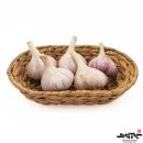 토종농산 이미지