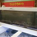 삼삼꼼장어 네이버블로그