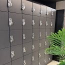 나이스휘트니스 | 안산 성포동 헬스장 피티 나이스 휘트니스 내돈내산 후기