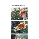 백합미용실 이미지