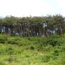 영림목장 이미지