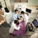 달성축산동물병원 이미지