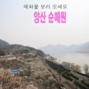 매화세탁소 이미지