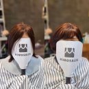 현담가발 헤어살롱 | 여자 인모통가발 사용 후기- 모모쌀롱 헤어앤위그
