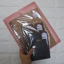 HOLE IN SP | [모닝글로리] 집에 있는 모닝글로리를 쓸어보자!!