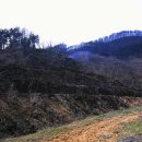 노루땅농장 이미지