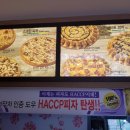 수&하늘보리피자 이미지
