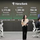 3140 파이낸셜뉴스