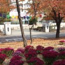 시화초등학교 이미지