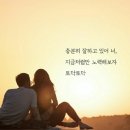 우리 Daum카페