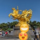 (주)경남응급이송단 | 렛츠런파크서울·과천 벚꽃축제 마시멜로 후기 / 눈송이 벚꽃구경 아이들 이색체험 가족나들이 / 드론쇼...