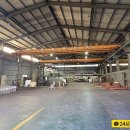 강서구-35 이미지