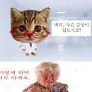 뜬금이네민박 | 파리여행 기록(10) / 오랑주리미술관/ 파리 폭동 / 티웨이 TW402편 탑승 후기
