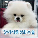 온동물의료센터 이미지