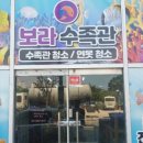 보라수족관