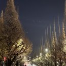 아이스마켓 이미지