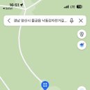 황산애견