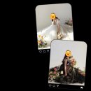 [Wedding 8] 웨딩촬영 소품_파쳄플라워(원데이 클래스/센터피스 제작)