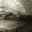 신화와 함께하는 세계사 이미지