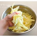 연겨자 이미지