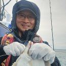 참가자미 이미지