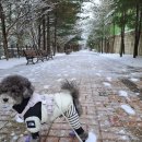 모아비발디공인중개사사무소 | 고드름의 정취와 '행동'으로 연 부동산 매매 실천 1일차