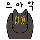 이순신빙상장 이미지