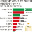 기부단체 믿을 만한 곳은 어디인가? 이미지