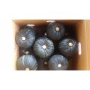 건우농장 이미지