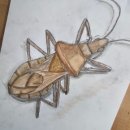 인천길주초 이미지