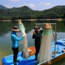 행복을낚는어부 이미지