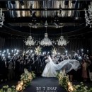 호암(주) | [본식스냅] 서울대학교 호암교수회관 | 가성비 화이트톤 바이티스냅 계약 후기 (짝꿍할인 이벤트!!!)