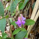 용궁시장 이미지