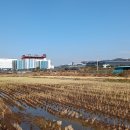 덕성2리 (신창) 이미지