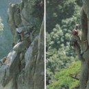 그루터기 이미지