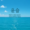 윤슬 Daum카페