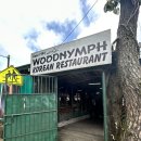 우드님프 이미지