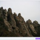 인동주마을 이미지