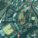 순천향대학교 후문 앞 | 아산 순천향대 벚꽃 개화상황 주차장 가볼만한 곳