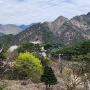 장회나루휴게소 이미지