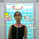 다비드 핏 이미지