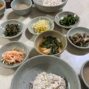 삼성콘도맨션 | "반찬이 이렇게 많이 나온다고?" 생생정보 부산 해운대 보리밥 맛집 순돌이보리밥
