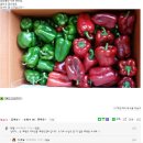 피망 이미지