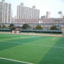 양진초등학교 이미지