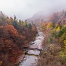 방아다리쉼터1 이미지