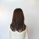김씨살롱할리조지아 | 노원역 미용실 준오헤어 노원사거리점 후기!