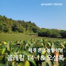 놀멍쉬멍 이미지