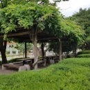 팔마체육시설 팔마수영장 이미지