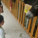 가산한우돼지마을 이미지