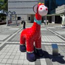 꽃들의 향연 | 대구 서구문화 예술 회관 야외 조각展 「햇살이 따뜻한 미술관」 전시 후기